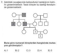 10 Sinif Biyoloji Kazanim Test 16 Sorulari