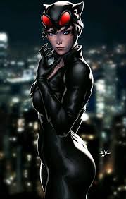 Catwoman Catwoman Dc Comics Dc Comics Art