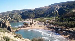 They only concern the variety deglet nour. Zyriab Voyages Von West Nach Ost Algerien