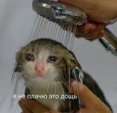 suga s helping hand projects for bts memy zabavnye illyuzii memy zhivotnye