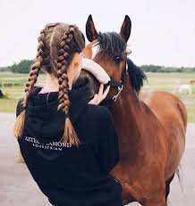 Kerri11gray In 2020 Beautiful Horses Horses Horse Photos