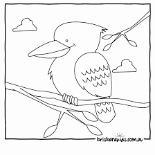 Australian Animals Coloring Pages Inspirational Australian Animals Colouring Pages Animal Coloring Pages Animal Templates Australian Animals