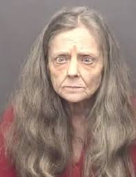 Woman Arrested And Charged With Several Counts Of Fraud And Forgery