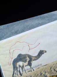 Series for world tv 1980's animated and directed by sheila graber on her own,in one year. Investigation 3 Q Pattern