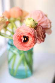 Lovely Flowers Flower Arrangements Beautiful Flowers