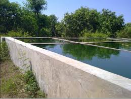 Syarat lain yang penting adalah fluktuasi atau perbedaan ph pagi dan siang tidak lebih dari 1. 4 Hektar Kolam Ikan Air Tawar Tak Dimanfaatkan Radar Lamsel