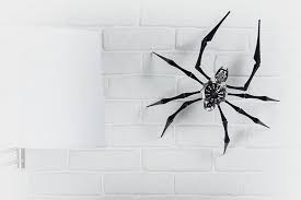 However, clock spider recently had. Mb F Arachnaphobia