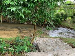 Kami singgah minum di gerai kopi ladang janda baik sebelum check in di. Janda Baik Villa2r Private Riverside Access Home Facebook