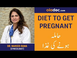 Pregnancy tips urdu hamal ka tarika. Hamla Hone Ka Tarika Ghiza Urdu Hindi Diet To Get Pregnant Fast Fertility Food Pre Pregnancy Diet Youtube