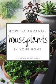How To Arrange Houseplants In Your Home Or Apartment Apartment Plants Bedroom Plants Living Room Plants