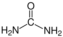 Consecuencias patológicas de una urea baja en sangre. Uremia Wikipedia Republished Wiki 2