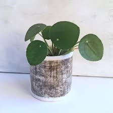 Handmade ceramic planters for your home. Black White Planter Indoor Ceramic Plant Pot Etsy Indoor Ceramic Planters White Planters Indoor Ceramic Plant Pots