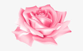 Abstract pink rose hd pics full for pc. 0 Pink Rose Flower Images Png Transparent Png 600x427 Free Download On Nicepng
