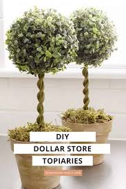 I am an outside of the box thinker, but i. Diy Topiary Trees From Dollar Store Supplies
