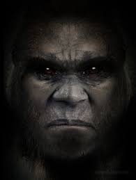 Jean-Pierre Pérusse (radical5) — Perfil