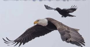 Gerakan kuda melambat dan si elang pun terbang meninggalkannya. Cerita Binatang Burung Elang Dan Burung Gagak Kumpulan Dongeng Cerpen Legenda Kisah Cerita Rakyat Puisi Makalah Tips Dll