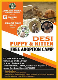 We did not find results for: Here Comes Again A Free Desi Puppy Kitten Adoption Camp In Mangalore Check Out The Details