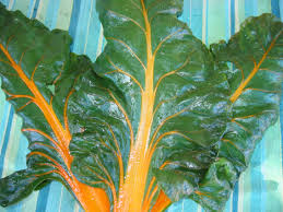 And home vegetable gardening is the perfect book to help you get started on the right foot. Local Food Albuquerque Special Vegetables For New Mexico Vegetables Plant Leaves Plants