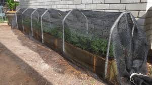 Check spelling or type a new query. Shade Cloth Protecting Your Plants From Extreme Summer Heat Youtube