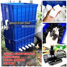 Fungsi dari filter kolam ikan diantaranya adalah untuk melindungi pompa dari puing filter kolam ikan koi minimalis. Jual Trickle Filter Kolam Ikan Koi 3 Susun Jumbo Plus Pompa Di Lapak Spesialis Kolam Bulat Bukalapak