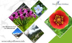 Maybe you would like to learn more about one of these? Valley Of Flowers National Park Chamoli Uttarakhand India Startseite Facebook