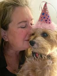 This is Winnie. She's almost 8 months old. 13 lbs. we had to rush her to  the vet yesterday. She has a fluctuating patella or in normal terms, a  floating knee cap.