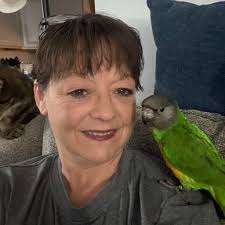 What are the best ways to keep a budgie warm in a cold home?