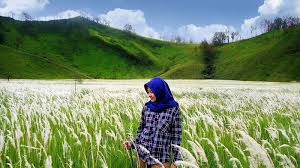 Kata mutiara kesabaran dan keikhlasan buat kamu yang sedang galau. Kata Mutiara Tentang Ilalang Kata Mutiara Cinta 2020