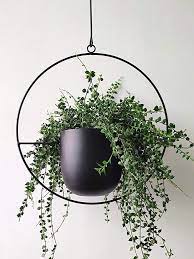 Amazon Com Riseon Boho Black Metal Plant Hanger Metal Wall And Ceiling Hanging Planter Mod Metal Plant Hangers Hanging Planters Indoor Metal Hanging Planters