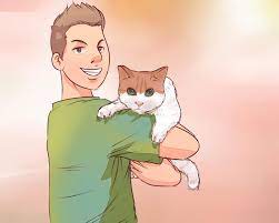 Inflammatory bowel disease, intestinal cancer, and hormonal conditions such as hyperthyroidism can cause chronic how do you know when it's the right time to euthanize your pet? How To Know When To Euthanize Your Cat With Pictures Wikihow