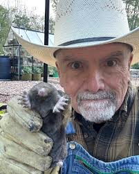 Nematodes for organic grub control