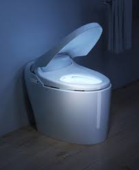 wc japonais au sol excellence plus