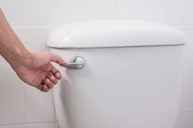 Can You Flush Coffee Grounds Down The Toilet Plus 4 Alternatives Wigglywisdom Com
