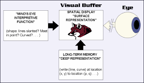 Kosslyn S Quasi Pictorial Theory Of Imagery With Reference To Quasi Sculptural Imagery Cognitive Science Mental Brain Models