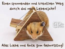 Weitere ideen zu lustige geburtstagsbilder, geburtstag bilder lustig, geburtstagsbilder. Coolphotos De Grusskarten Lustige Geburtstagskarten