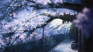 ❤ get the best cherry blossom wallpapers on wallpaperset. 140 Sakura Gif Ideas Sakura Anime Scenery Gif