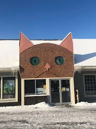 Best dining in brooklyn, michigan: Big Cat Pet Store In Nh Bizarrebuildings