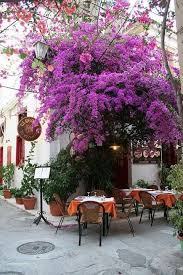 Paris Beautiful Places Paris Cafe Places