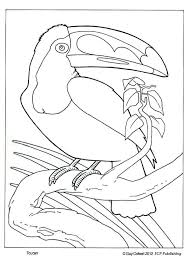 Toucan Coloring Pages Bird Coloring Pinturas De Passaros Desenhos De Aves Desenhos De Mandalas