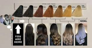 Knowing your current natural hair color level is the best way to help determine the best shade of hair color to use to get the results you want. 101 Guide On Hair Levels To Navigate Hair Color Charts Like A Pro