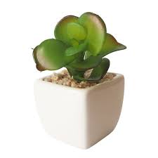 Maybe you would like to learn more about one of these? Jual Doroyai Tanaman Bunga Pohon Sintetis Artifisial Hiasan Meja Unik Pot Tanaman Artifisial Vas Dengan Harga Rp 39 000 Dari Tok Hiasan Meja Dekor Tanaman