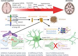 In a transgenic mouse model of ad, aducanumab is shown to enter the brain. Cerebral Blood Flow Decrease As An Early Pathological Mechanism In Alzheimer S Disease Springerlink