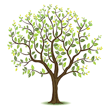Весеннее дерево рисунок - 64 фото