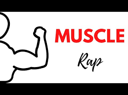 All your body parts, when you go, run play basketball, move with the help of muscles. Muscle Rap Youtube