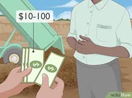 Check spelling or type a new query. 3 Ways To Dispose Of Soil Wikihow