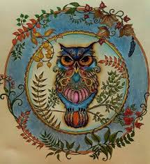 Korumburra Enchanted Forest Coloring Book Basford Enchanted Forest Johanna Basford Enchanted Forest