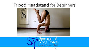 Hold this prep for 10 to 15 breaths to build shoulder and core strength and comfort in the pose. Tripod Headstand For Beginners Creating Stability While Inverted Youtube