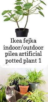 Ikea Fejka Indoor Outdoor Pilea Kunstliche Topfpflanze Zimmerpflanzen Und Haustiere Zimmerpflanzen Topfpflanzen Pflanzen