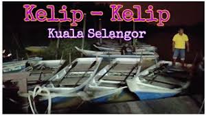 Kampung kuantan river is quiet and dark the fishermen's oars slice a loneliness the fireflies melt my night away their flame of love takes my breathe away. Kelip Kelip Kampung Kuantan Kampung Bukit Belimbing Kuala Selangor Satu Malam Bertemankan Kerlipan Cahaya Kelip Kelip Jalan Jalan