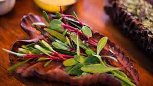 Zonfrillo is one of the new masterchef australia judges alongside andy allen and melissa leong Jock Zonfrillo Food For Thought Are You What You Eat